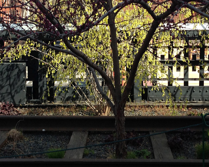 Traveling Thoughts Traveling Thoughts